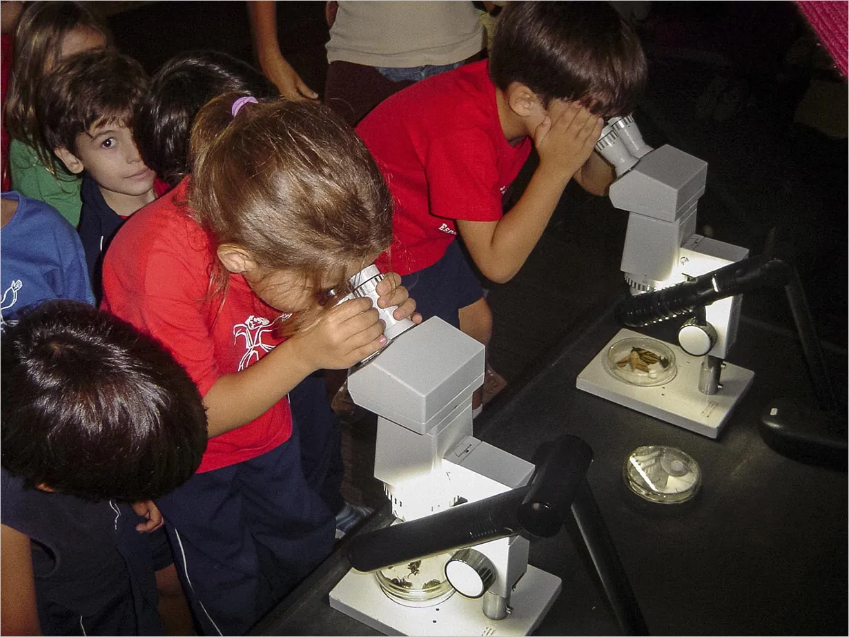 Foto: Renato Mangolin